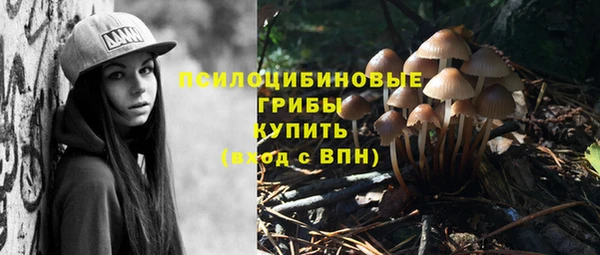 бутират Саяногорск