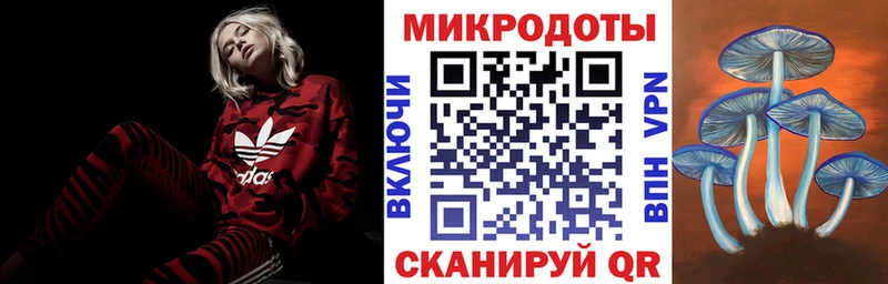 купить наркоту  Тара  Псилоцибиновые грибы Psilocybine cubensis 
