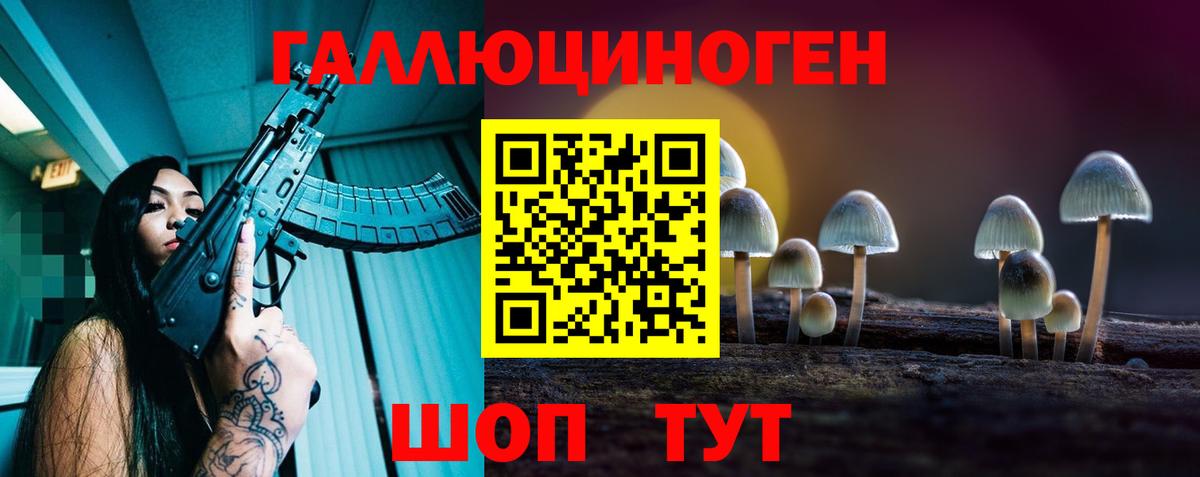 Тара  Галлюциногенные грибы GOLDEN TEACHER  Вход с VPN 