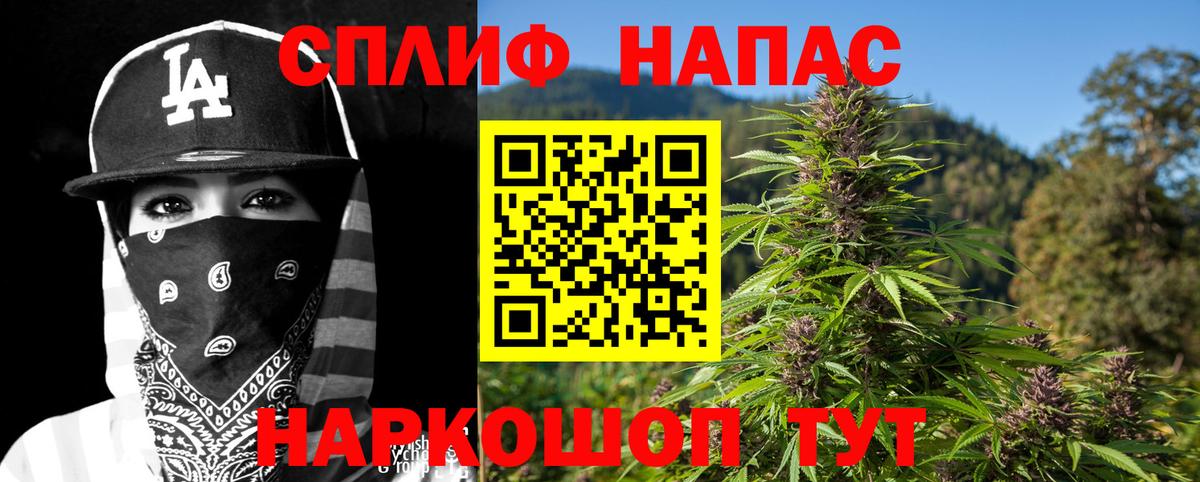 Тара  Шишки марихуана сатива  Каннабис VHQ  Конопля VHQ  Вход с VPN 